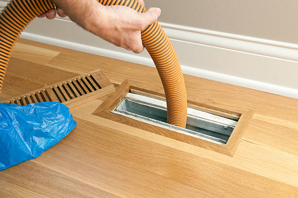 Best Air Duct Mold Removal  in North Auburn, CA